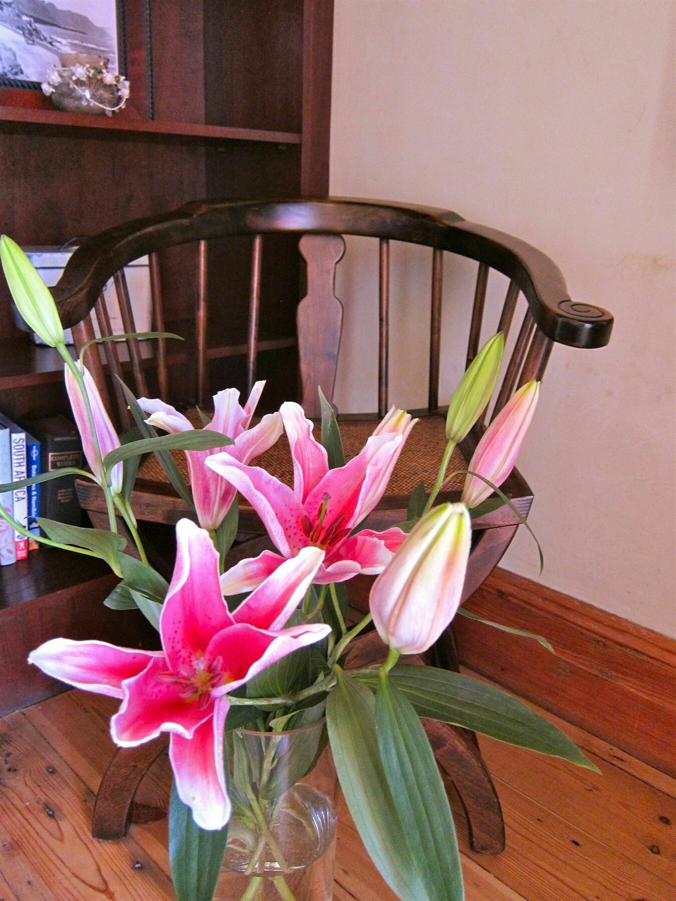 Avatara Bed & Breakfast Cape Town Ngoại thất bức ảnh