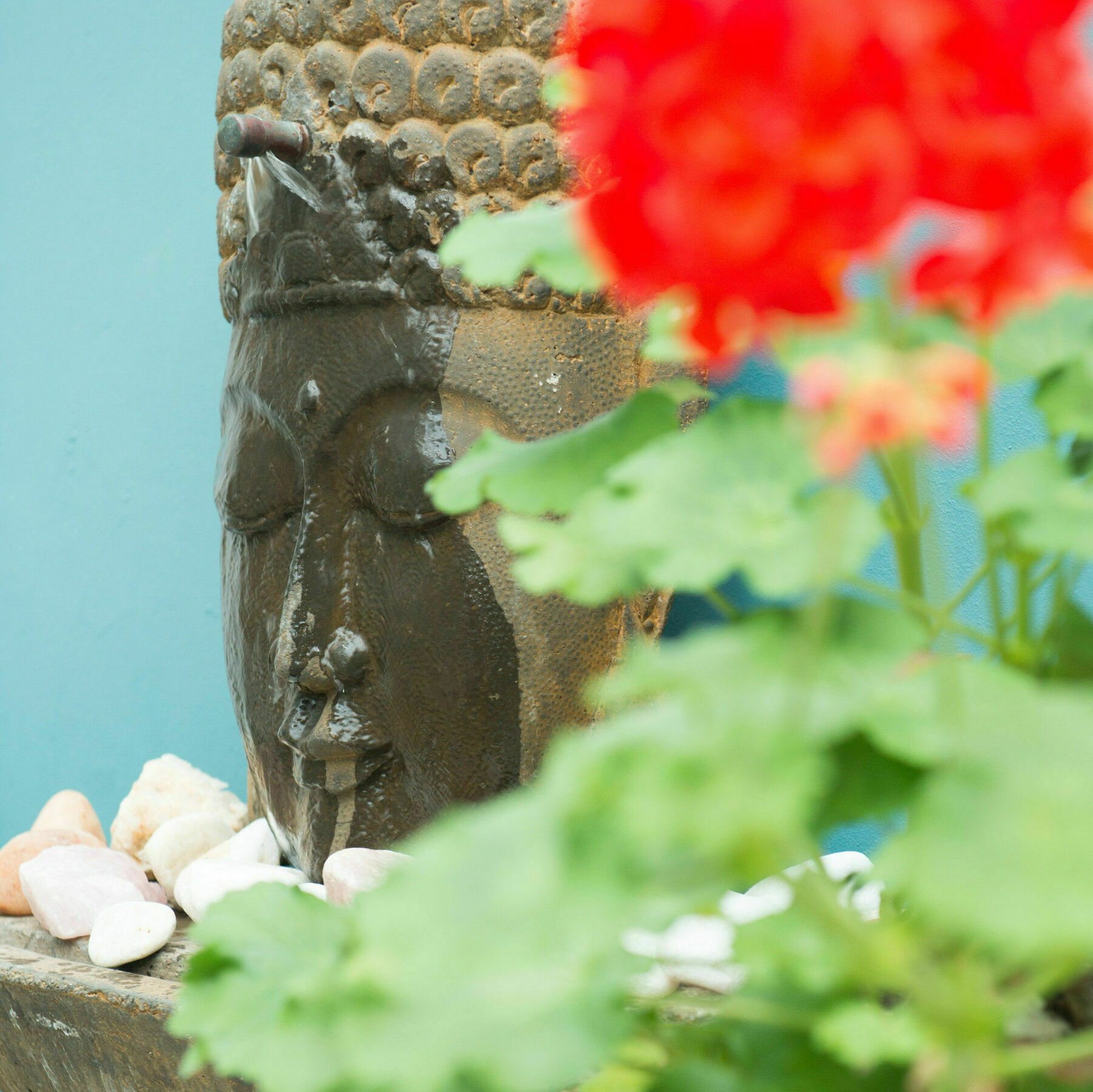 Avatara Bed & Breakfast Cape Town Ngoại thất bức ảnh