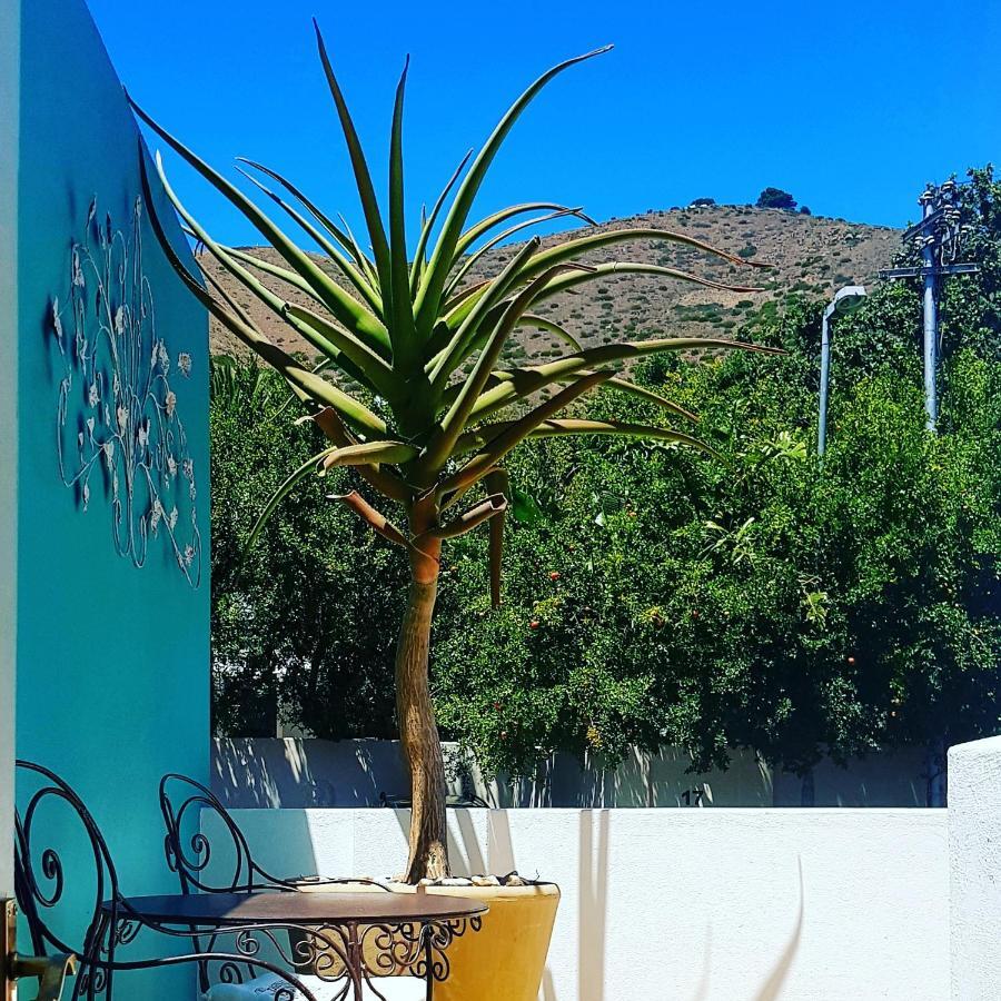 Avatara Bed & Breakfast Cape Town Ngoại thất bức ảnh